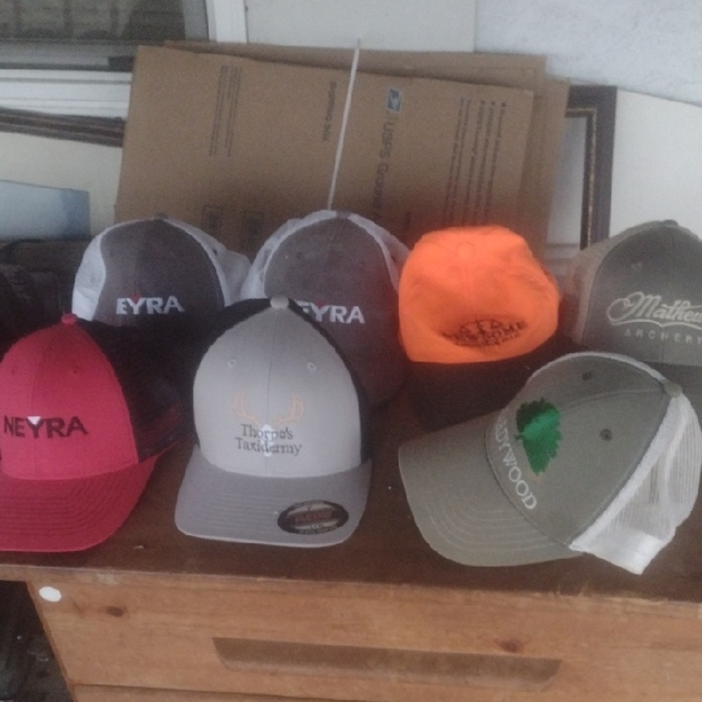 Assorted Logo Baseball Caps
